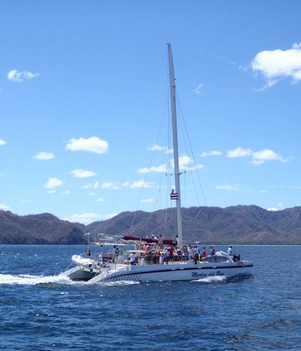 marlin del rey catamaran