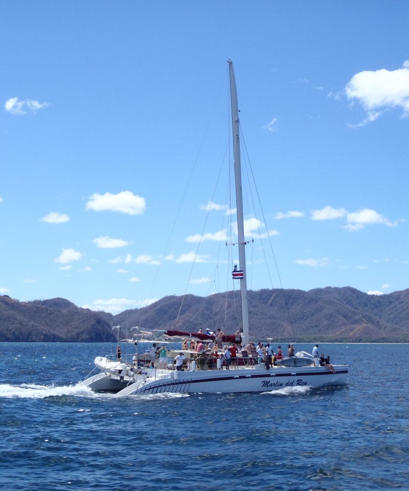 marlin del rey catamaran